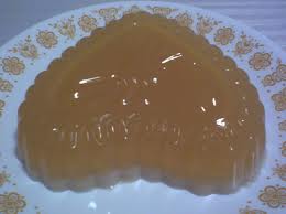 Manufacturers Exporters and Wholesale Suppliers of Agar Agar Jodhpur Rajasthan